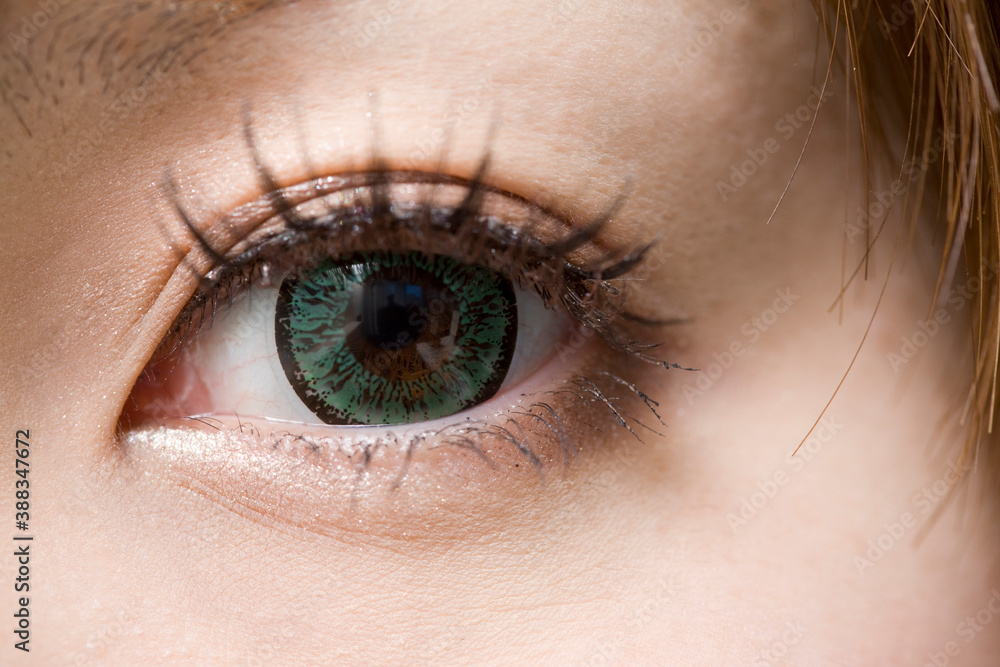 Obraz premium 女性の目