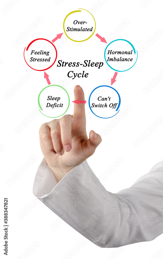 Five Components of Stress-Sleep Cycle Five Components of Stress-Sleep Cycle