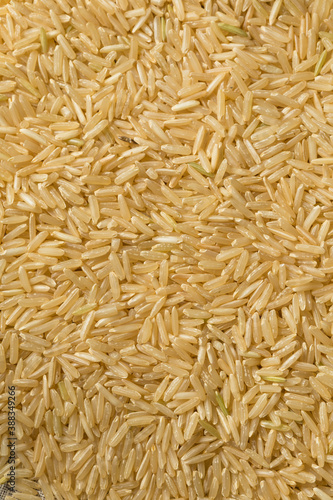 Dry Organic Brown Rice