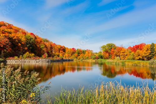 Fototapeta Naklejka Na Ścianę i Meble -  Gorgeous, magnificent view of a little lake with beautiful vibrant colors autumn forest landscape scenery on sunny great enjoyable day day