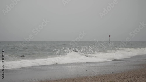 group of sea seals on the sandy beach of norfok england uk. breaking waves and curious animals photo