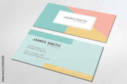 Minimalist professional pastel business card