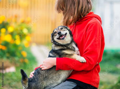 cute friendly dog hugs with his paws the girl and faithfully and quite smiles