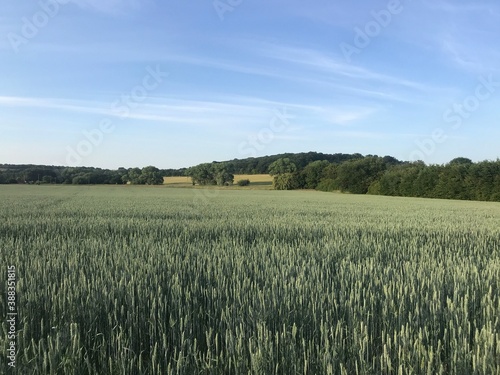 Open field in the Kent countryside, United Kingdom