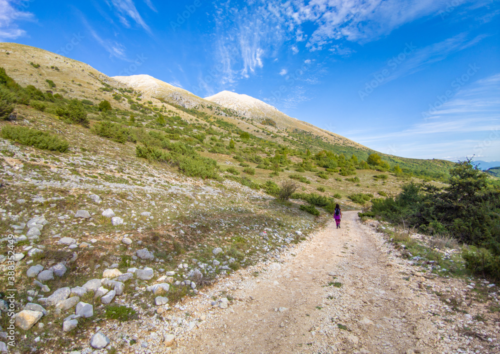 Fototapeta premium Monte Velino (Italy) - The beautiful landscape summit of Mount Velino, one of the highest peaks of the Apennines with its 2487 meters. In the Sirente-Velino natural park, Abruzzo region.