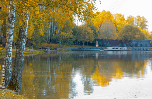 autumn trees on the lake
