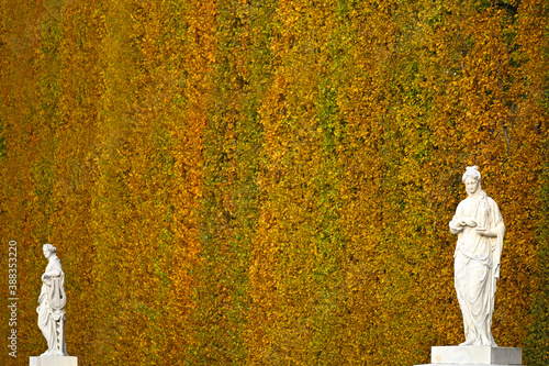 Photography ancient statues in the autumn park Vienna Austria