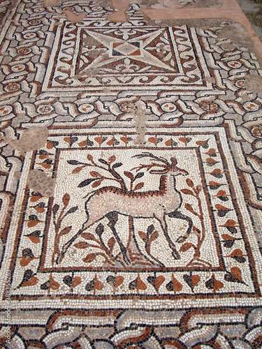 Animal patterned mosaics at the ruins of the Heraklea Lyncestis (Bitola) ancient city in teh Republic of North Macedonia.