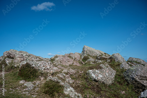 Heather growing around carboniferous limestone, Gower Peninsula © Anders93