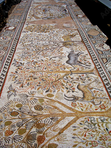Animal patterned mosaics at the ruins of the Heraklea Lyncestis (Bitola) ancient city in teh Republic of North Macedonia.