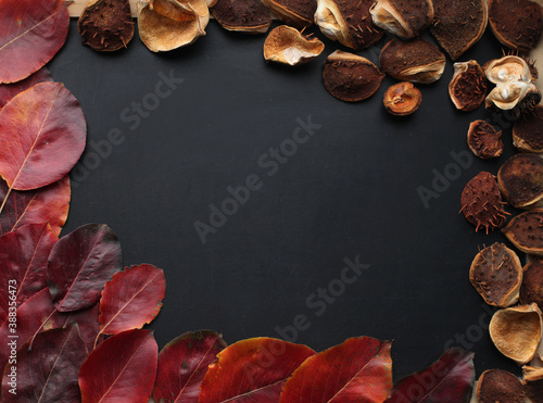 autumn frame of red leaves and chestnuts on black background
