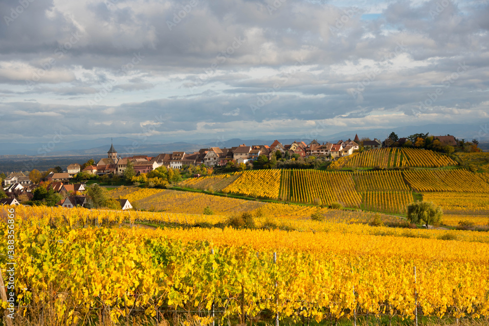 Zellenberg im Elsass im Herbst Zellenberg im Elsass im Herbst