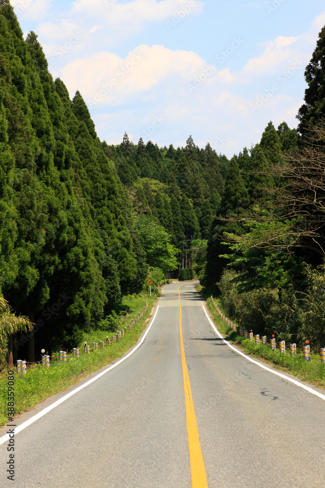 Fototapeta premium 阿蘇の道路