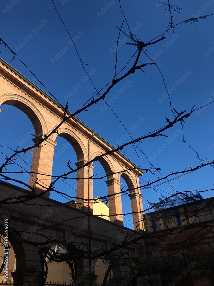 Fototapeta premium city bridge city