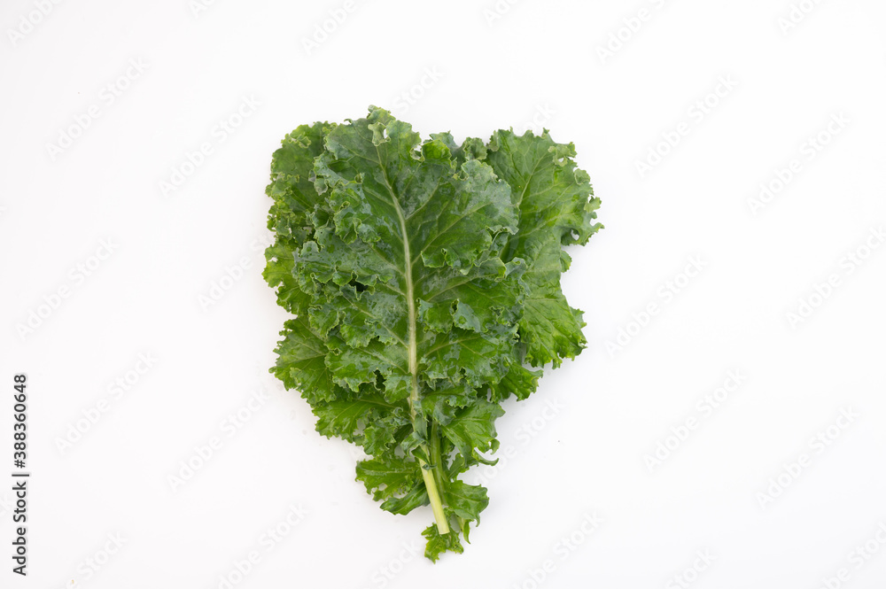 Fototapeta premium fresh organic vegetables salad isolated on white