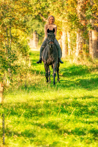 Beautiful girl riding a horse riding without a saddle in a autumn forest