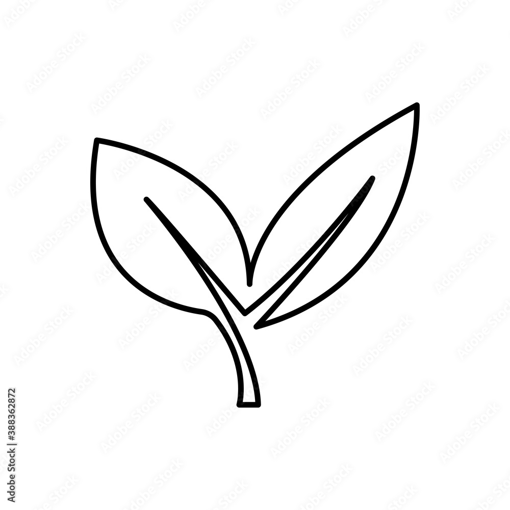 illustration of a leaf illustration of a leaf