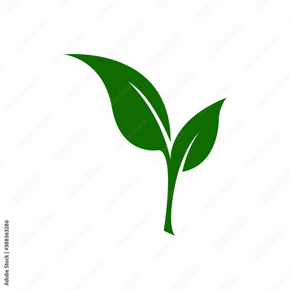Obraz premium Green leaf ecology nature element vector icon
