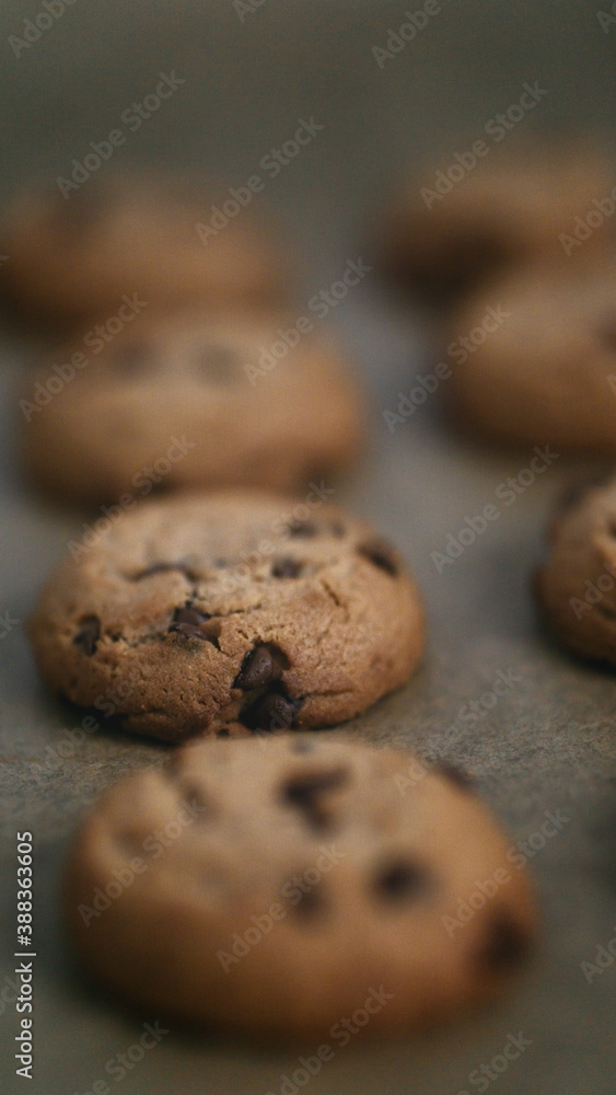 Close up view of freshly baked homemade chocolate chip cookie biscuit
