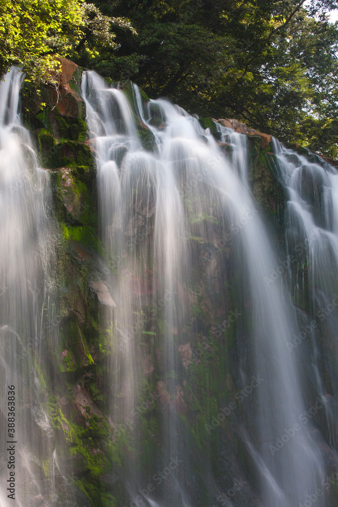 Fototapeta premium 滝