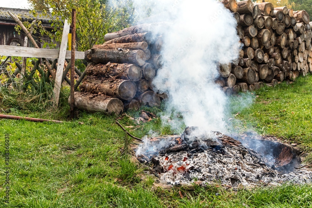 Burning tree bark. Outdoor fireplace. Disposal of bark beetles. Work on the farm. Burning fire. Burning tree bark. Outdoor fireplace. Disposal of bark beetles. Work on the farm. Burning fire.