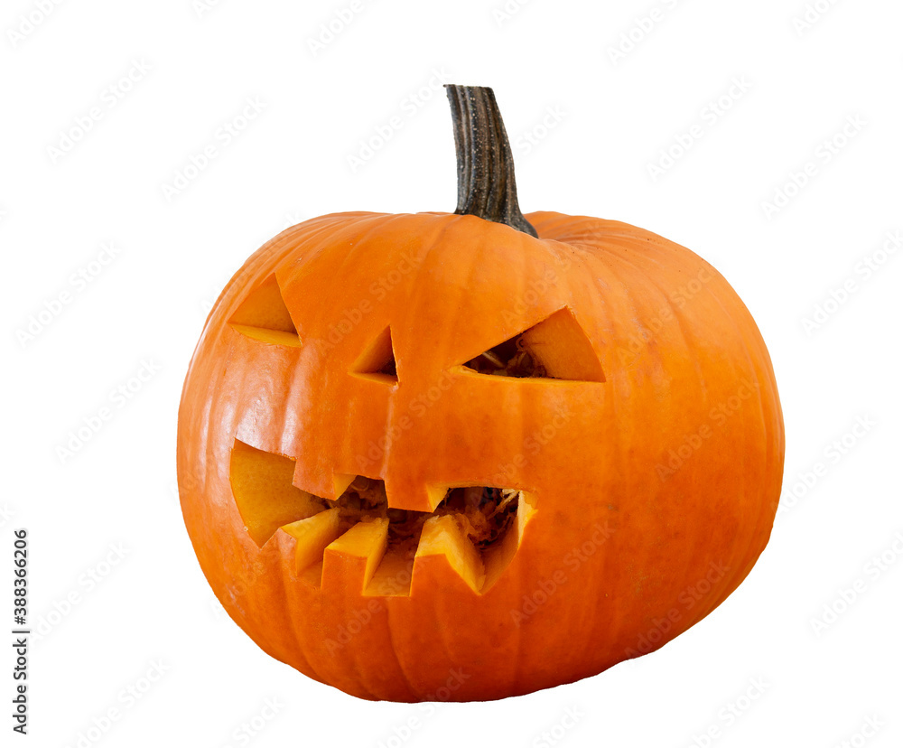 Fototapeta premium Halloween pumpkin on white background