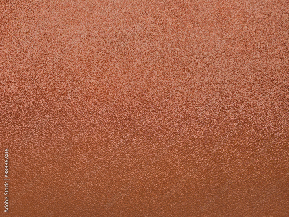 Fototapeta premium Texture of brown leather, Closeup texture.