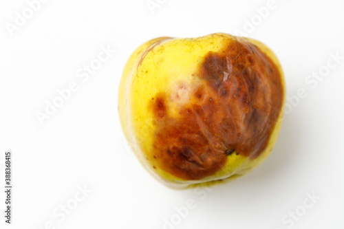 bad natural yellow apple on a white background