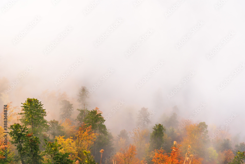 Magnificent landscapes of autumn mountains covered with fog, reaching the distant snow-capped peaks of the High Tatras
