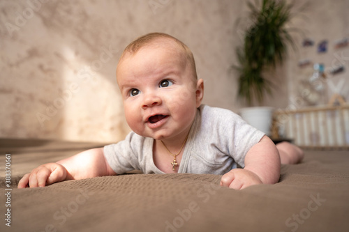 Portrait of little infant baby boy learn to stand on elbows laying on the bed and looking aside