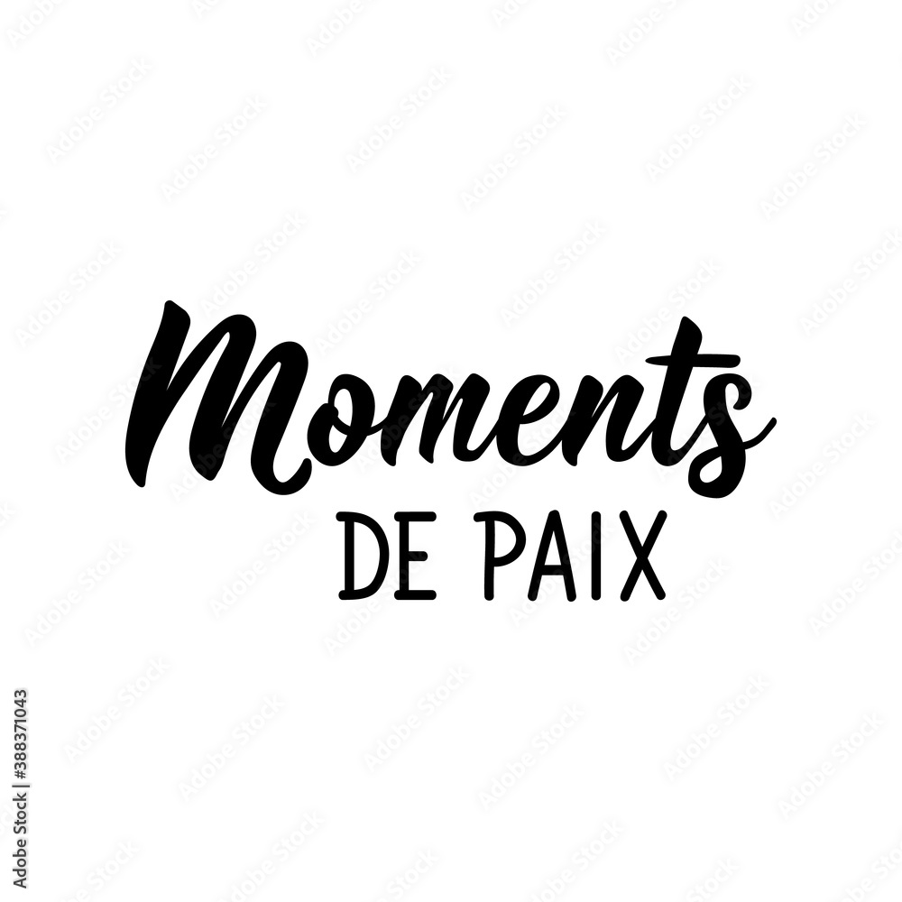 Moments of peace - in French language. Lettering. Ink illustration. Modern brush calligraphy.