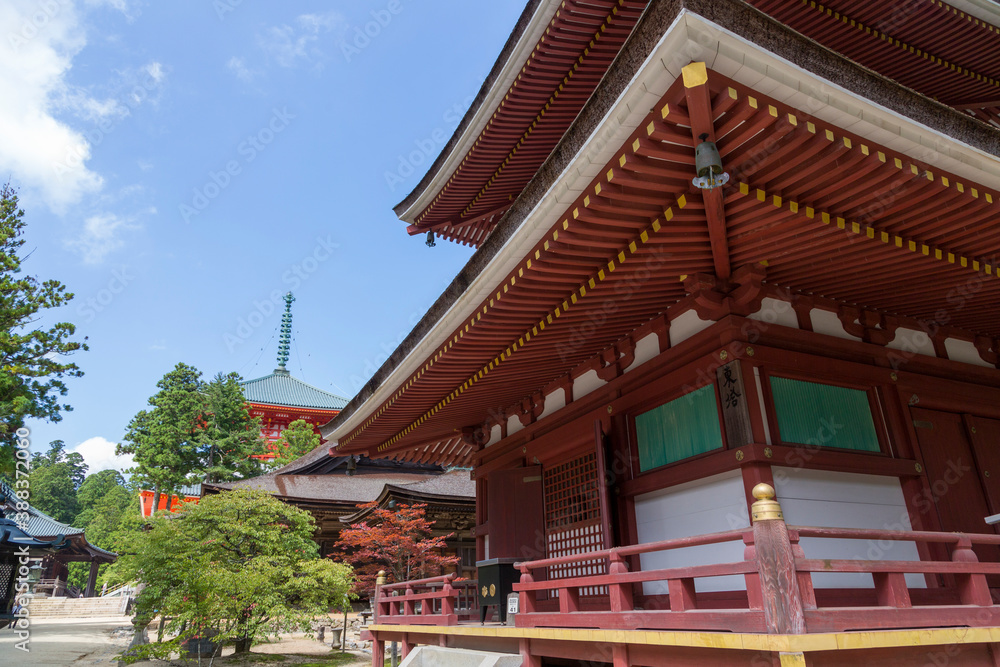 Fototapeta premium 東塔と根本大塔