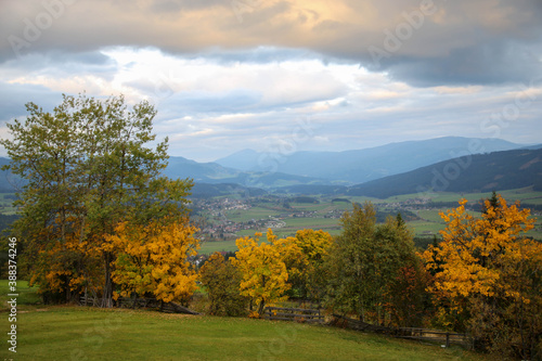 Row of trees with yellow foliage in autumn in the Austrian Alps