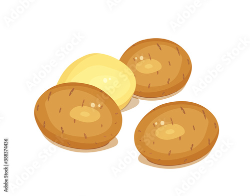 Potatoes. Set of Vegetable foodstuff. Agriculture organic product. Natural meal. Isolated on white background. Illustration.