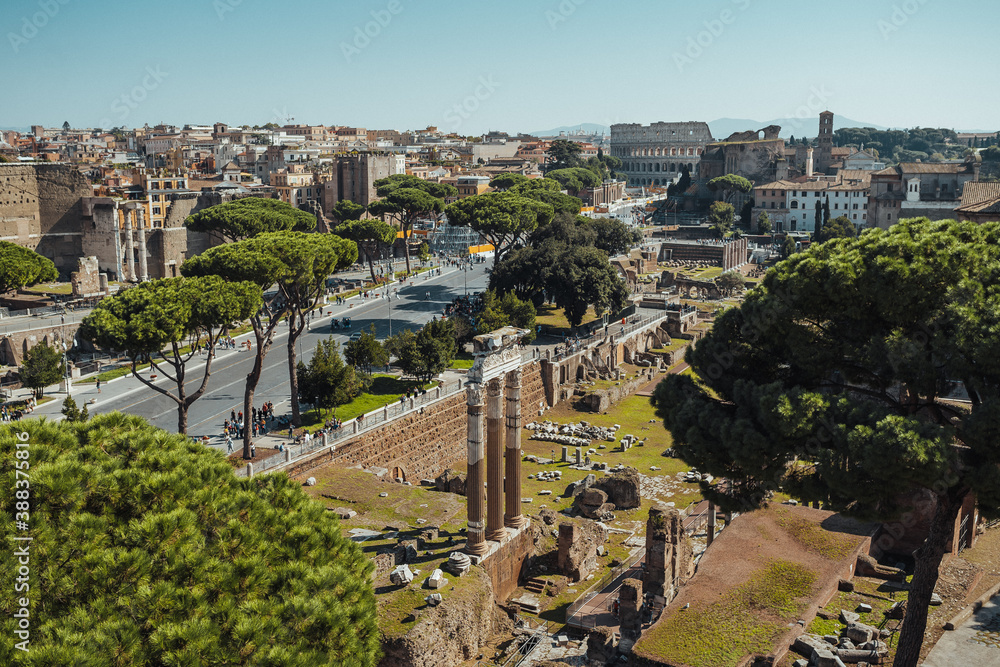 Fototapeta premium view from the eiffel tower