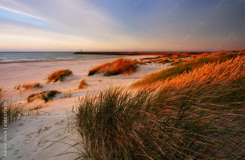 Naklejka premium Morze Bałtyckie ,zachód słońca,wydma,trawa,plaża,biały piasek,Kołobrzeg,Polska.