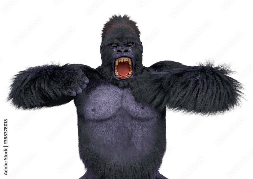 gorilla is beating chest close up view Stock Illustration | Adobe Stock