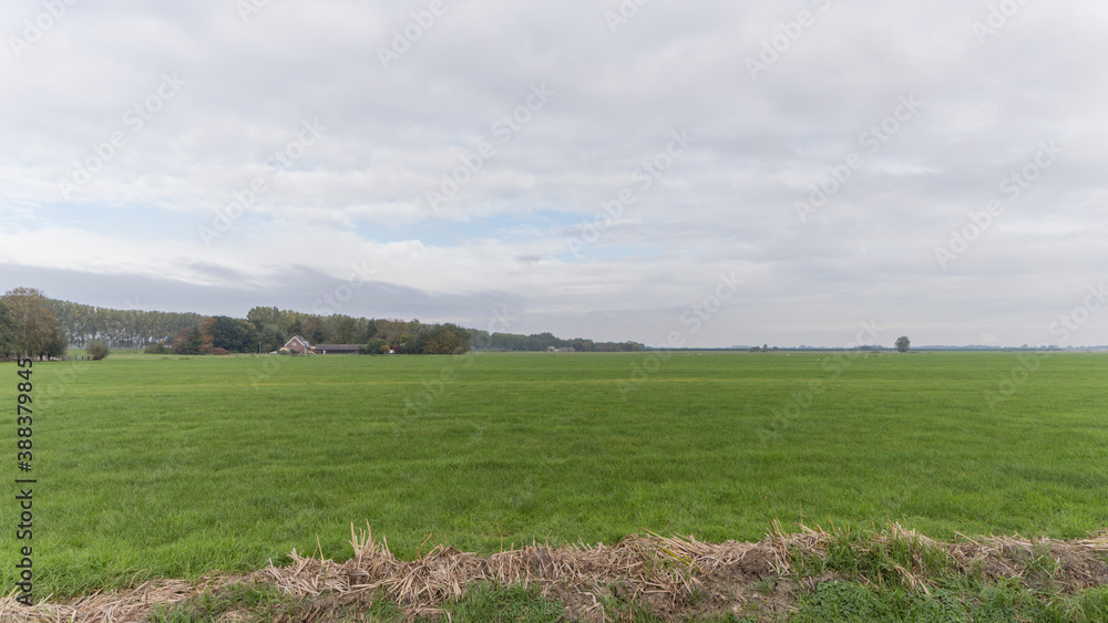 Fototapeta premium Agricultural fields near Vreeland, the Netherlands