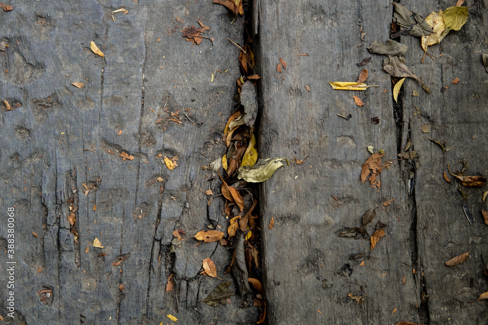 Dark wood texture with autumn leaves. Top view of old, vintage empty wooden texture background for your material. Wooden surface wallpaper. Dark wood texture with autumn leaves. Top view of old, vintage empty wooden texture background for your material. Wooden surface wallpaper.