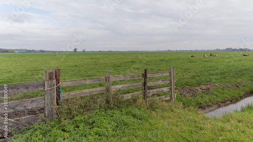 Agricultural fields near Vreeland  the Netherlands