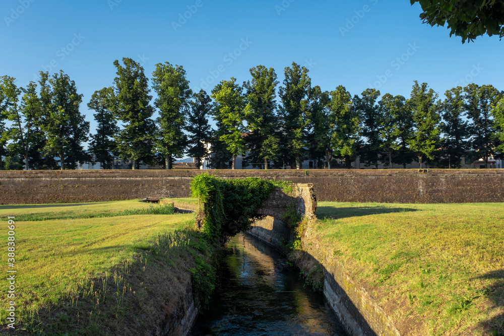 Medieval fortress wall and city park in the Italian town of Lucca, Tuscany, Italy