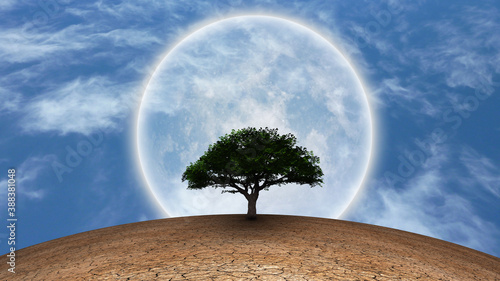 Surrealism. Green tree in arid land. Full moon in blue sky. 3D rendering © rolffimages