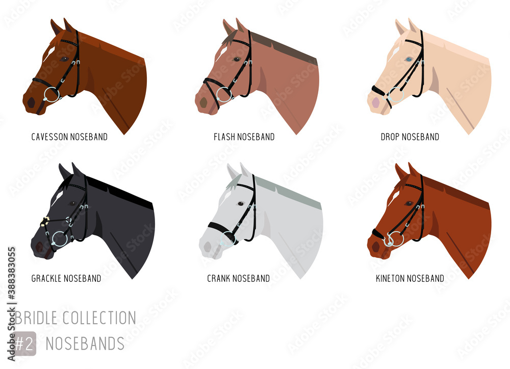 Set of Horse Bridles with Noseband Types Stock Vector Adobe Stock