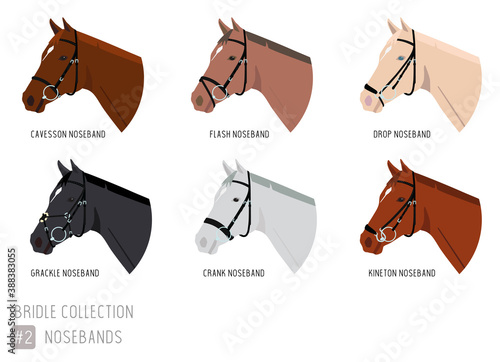 Set of Horse Bridles with Noseband Types