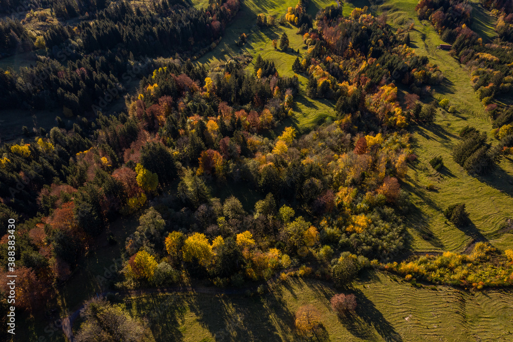 Herbstwald Herbstwald