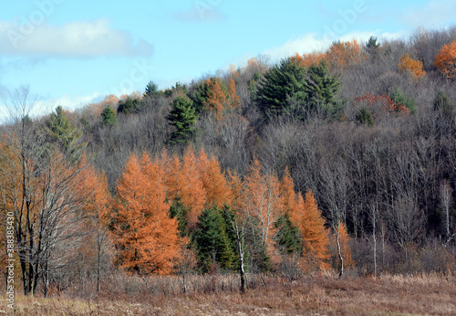 Fall landscape eastern townships Bromont Quebec province Canada