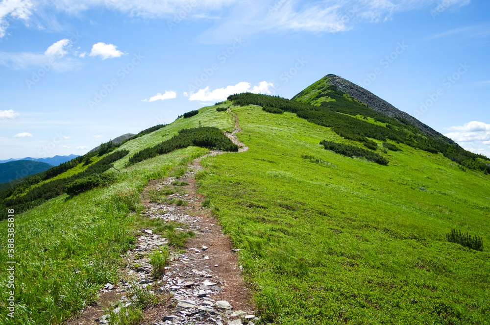 Naklejka premium Gorgany mountain range and view to Small Syvulia mountain. Hiking trail right on the ridge near fresh green meadow. Carpathian mountains, Ukraine.