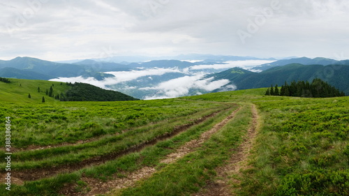 Dirt road tracks on the green meadow in Carpathian mountains. Clouds over valley in the morning. Stunning mountain landscape. Ukraine.
