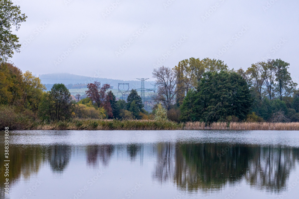 Fototapeta premium lake and forest