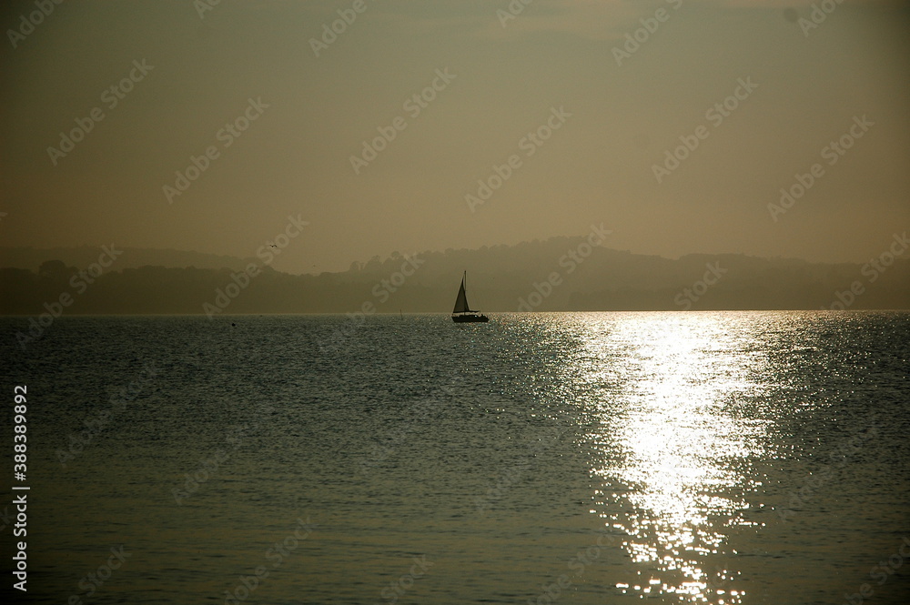 Fototapeta premium rush